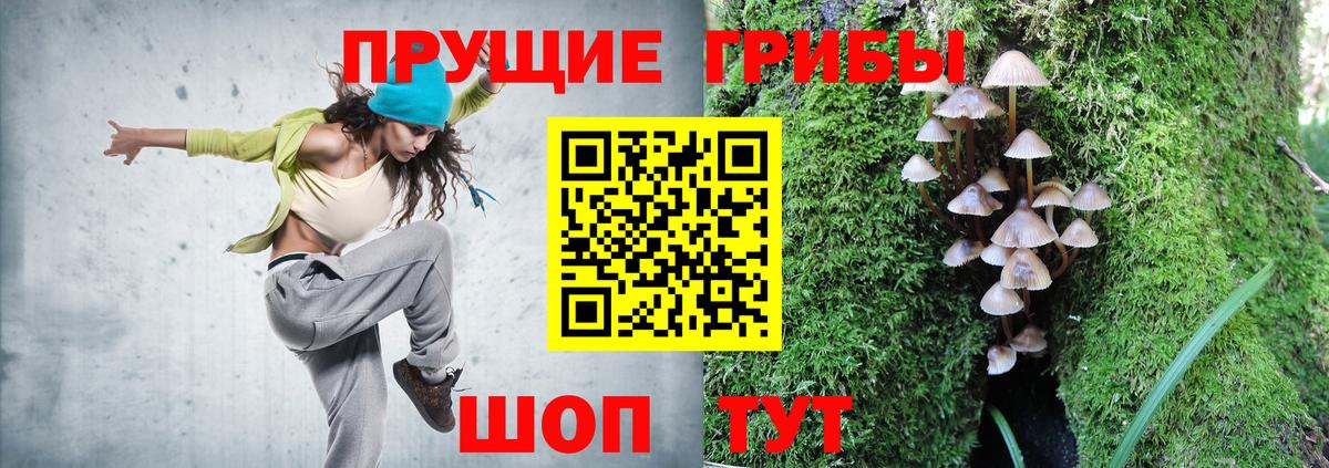 Псилоцибиновые грибы Cubensis  Вход с VPN  Псилоцибиновые грибы Cubensis  где найти наркотики  Новодвинск 